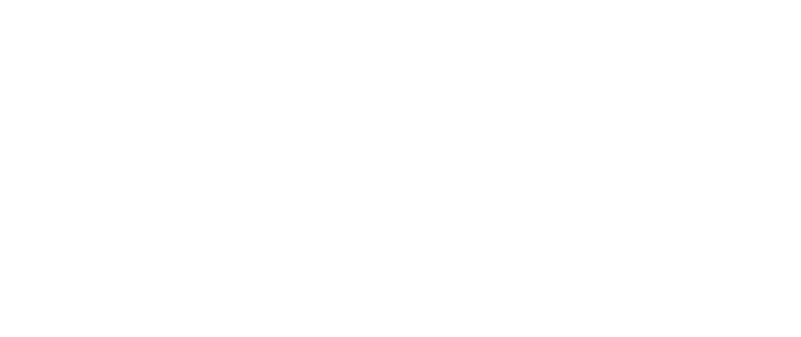 Bay FC prefers Visa