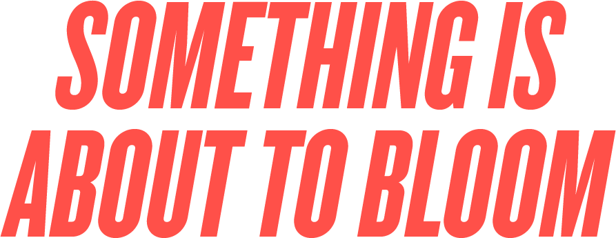 Something is about to bloom ...